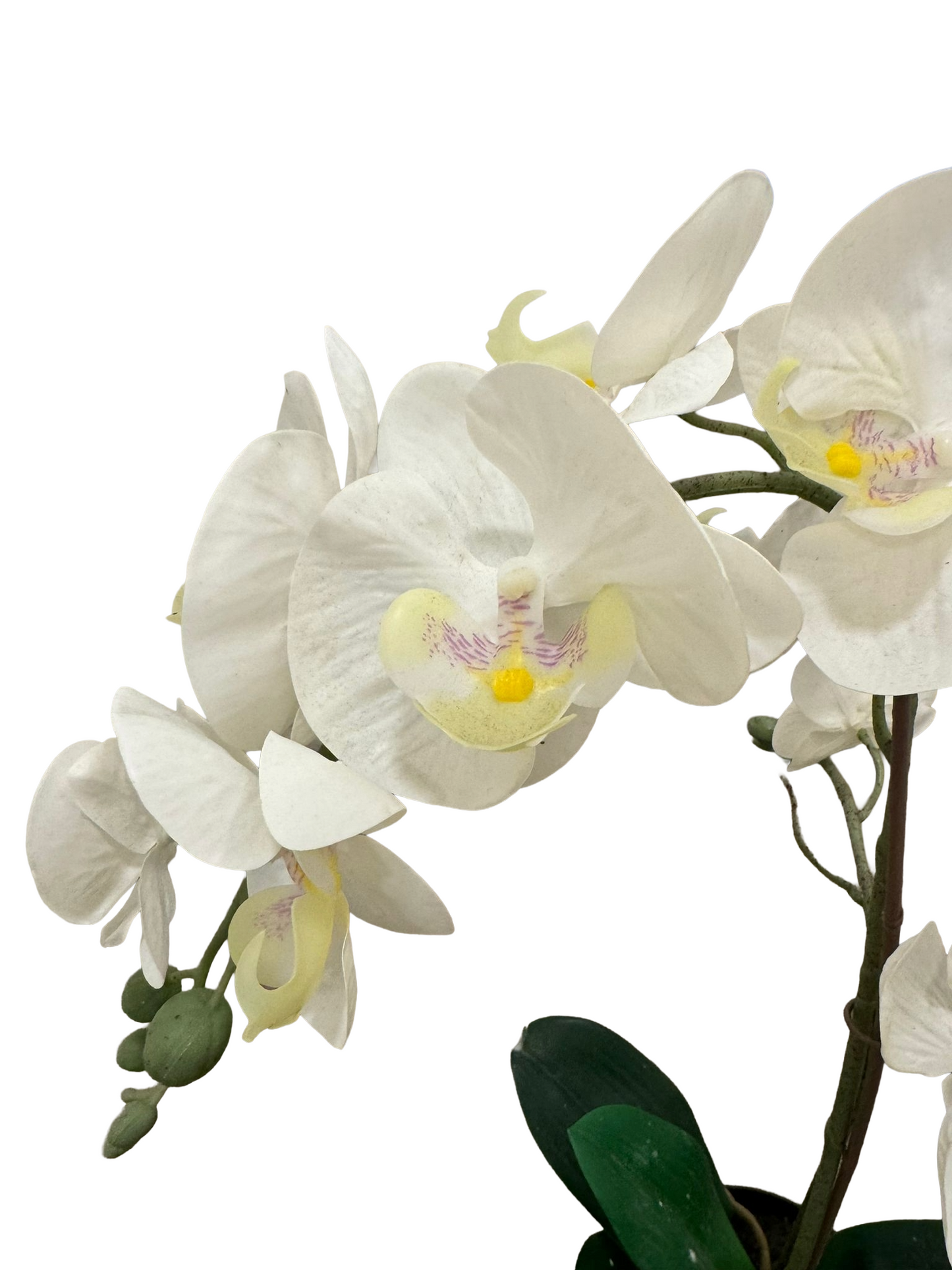 Nep Plant – Witte Chrysant