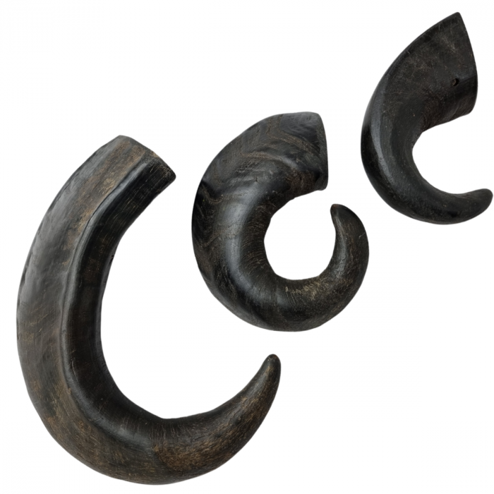 Topmast Runderhoorn - Hondensnack