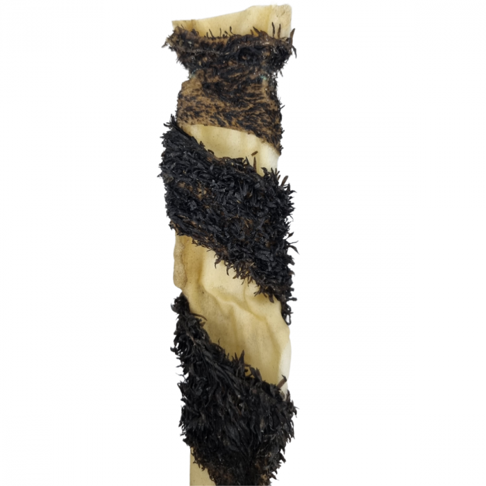 Topmast Runderkophuid met Pens - 70 cm - 1000 Gram Zak