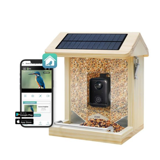 BOME Vogelvoederhuisje met Camera – Geniet van vogels van dichtbij