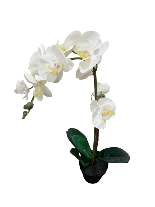 Nep Plant – Witte Chrysant