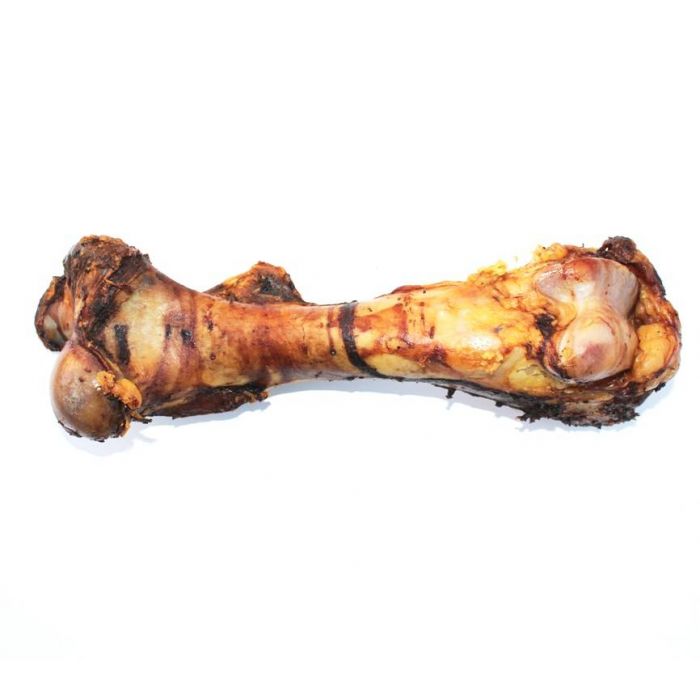 Paardenbeen -  Jumbo Dino Bot XL