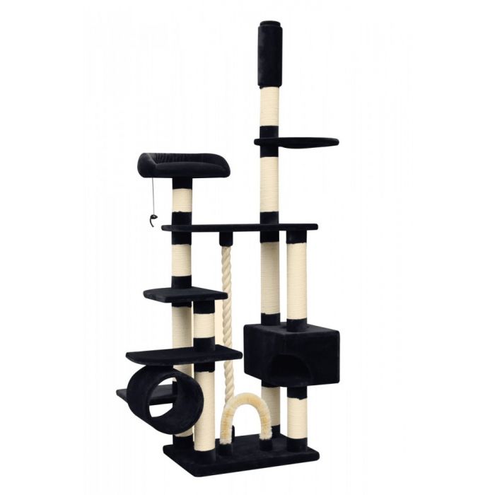 Topmast Krabpaal Kingston Black  L