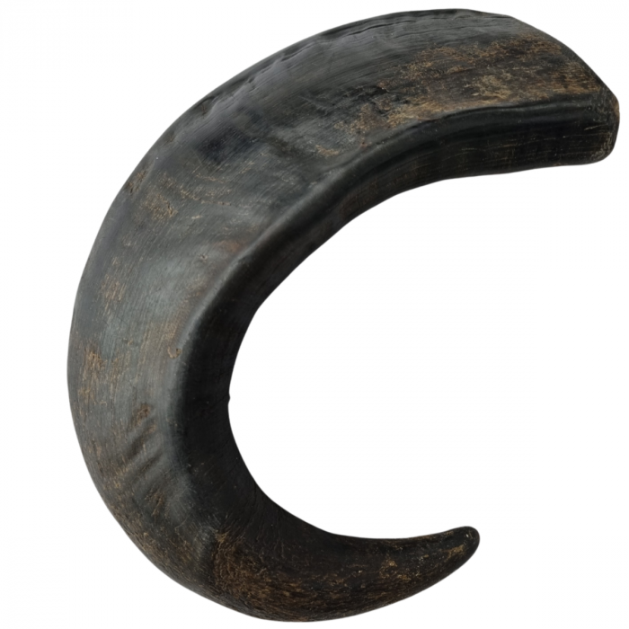 Topmast Runderhoorn - Hondensnack