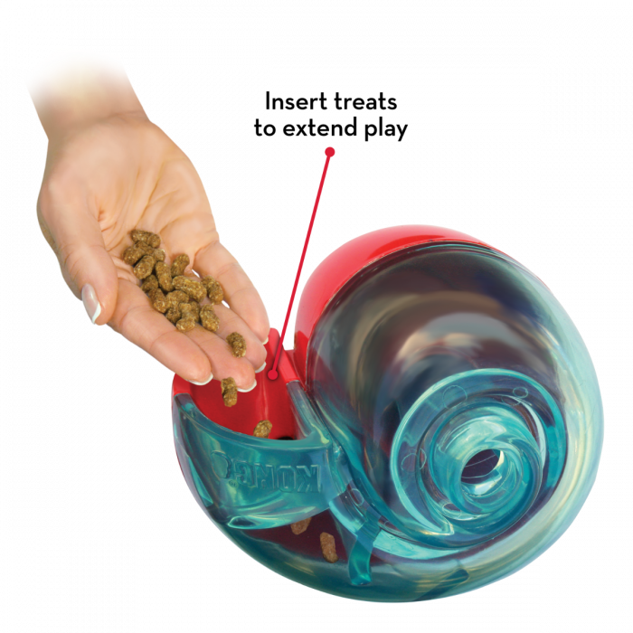 KONG Rewards Shell - Schelp - Honden Speelgoed Intelligentie